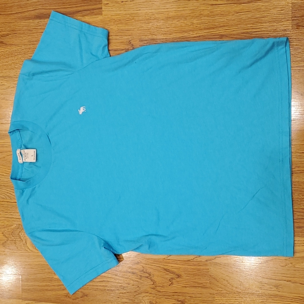 Never worn, mens large, light blue, Abercrombie & Fitch tshirt